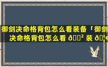 御剑决命格背包怎么看装备「御剑决命格背包怎么看 🌲 装 🦢 备等级」